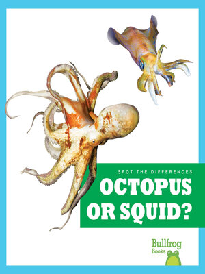cover image of Octopus or Squid?